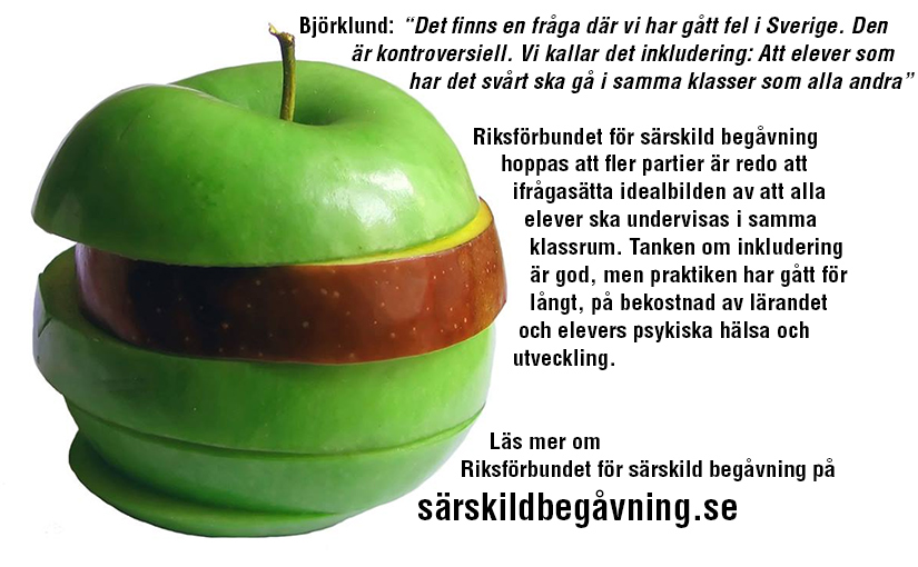 Inkludering Särbegåvning